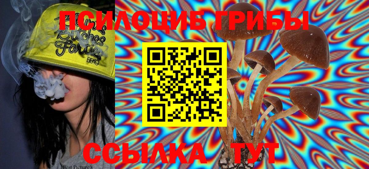 Псилоцибиновые грибы ЛСД  Вход с VPN  Сибай  Галлюциногенные грибы Psilocybine cubensis 
